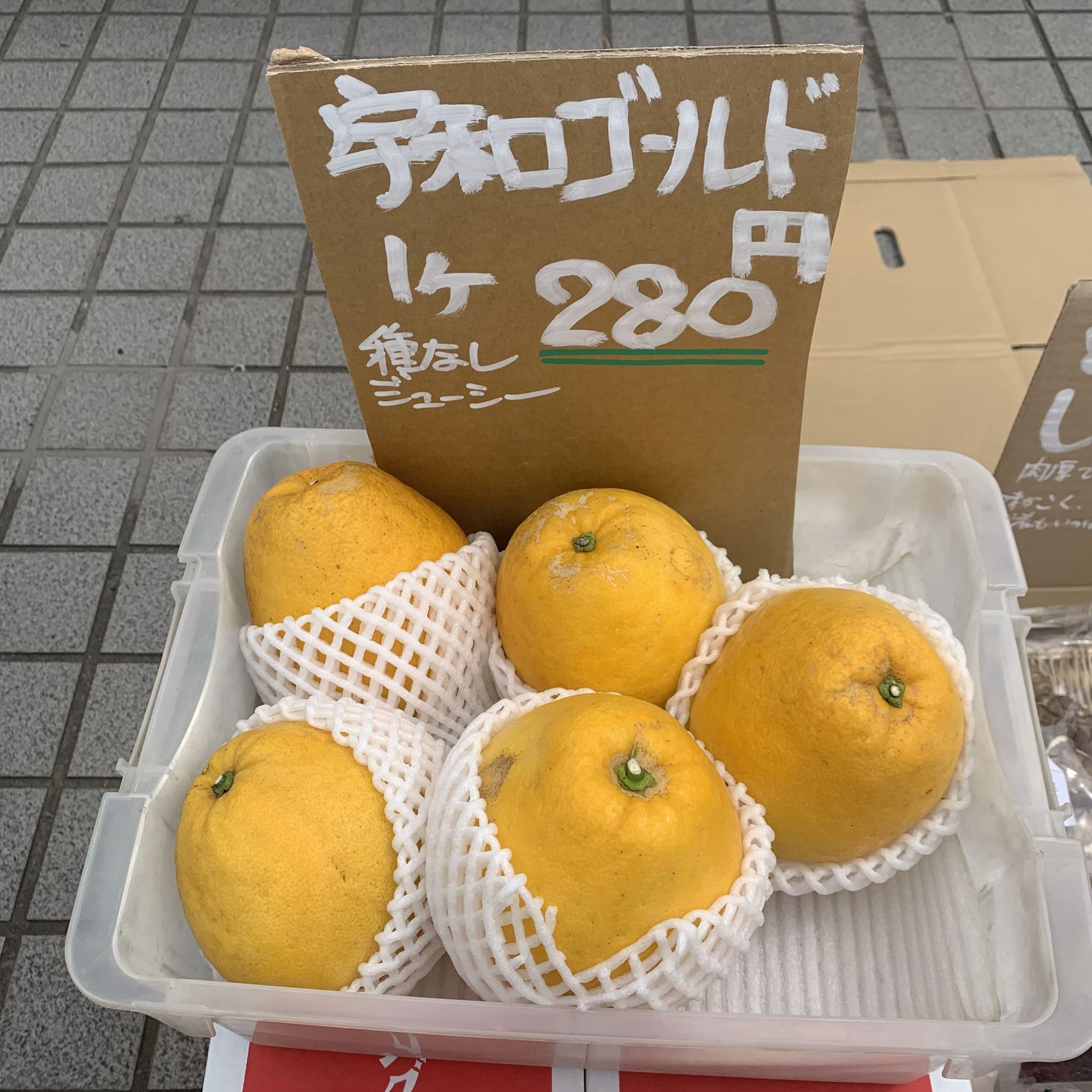 マルシェ画像